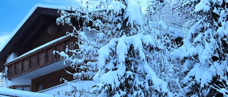 Extérieur maison de vacances [hiver]