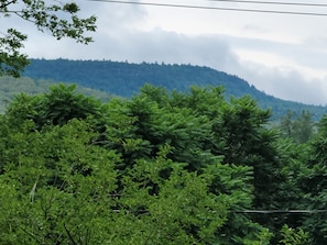 view of the Schawngunk mountains 