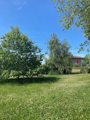Le grand jardin clôturé et arboré.