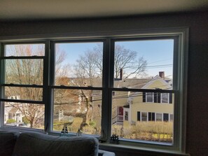 Roof tops from the living room window before blinds were installed. 