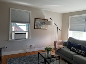 Air conditioner in the living room.