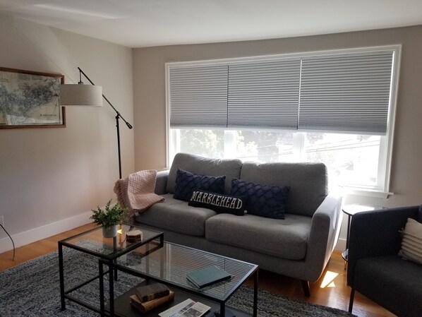 Comfortable cozy living room with a queen size sofa bed.