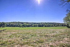 152-Acre Farm | Quiet & Secluded | Wildlife | Elderberry Fields