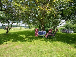 Plant, Tree, Natural Landscape, Woody Plant, Grass, Shade, Recreation, Groundcover, Leisure, Landscape