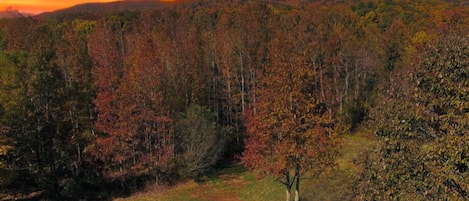 Terrain de l’hébergement 