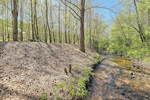 Sit by the Rushing Creek or Skip Some Rocks