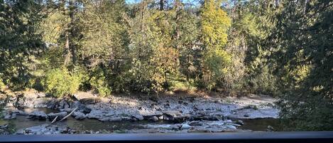 Back Deck view of the Lewis River