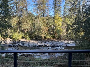 Back Deck view of the Lewis River