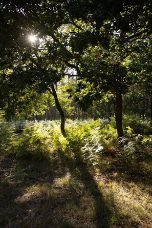 Boendeområde
