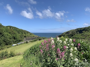 The view from the front garden