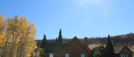 Front of the house looking into Medicine Bow National Forest. 