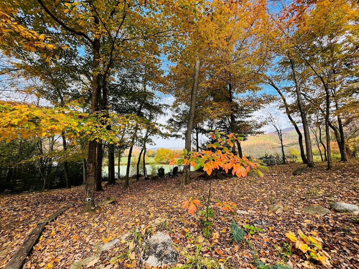 Vibrant & Spacious Mountain House 1 mile from D/T Hot Tub, Views, Woodstove