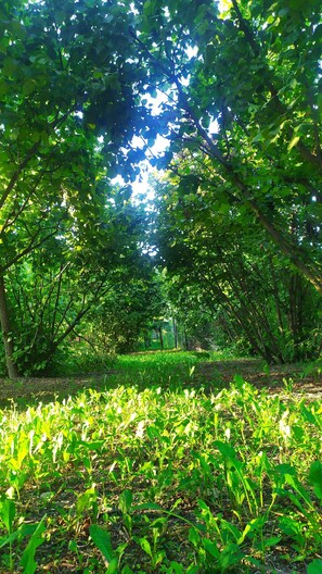 Terrenos do alojamento