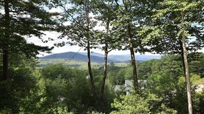 View of Mountains from White Mountain Home