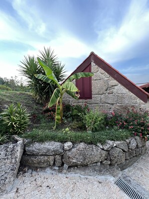 Terrain de l’hébergement 