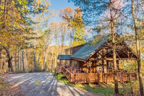 Cabin - front view