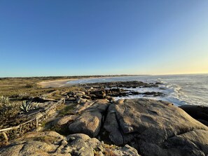 Ranta
