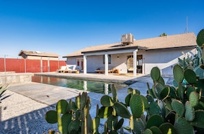 Beautiful desert cactus and refreshing 40 foot lap pool and spa.