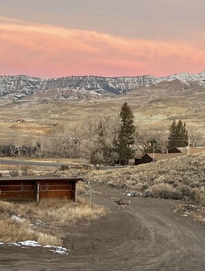 What a view!! Mountain Sunrise and White Tail Deer wandering down our lane!