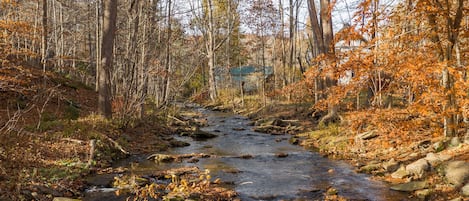 The sound of the water flowing from the creek across is so relaxing! 