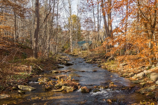 The sound of the water flowing from the creek across is so relaxing! 