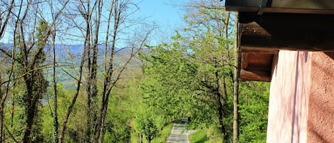 Terrain de l’hébergement 