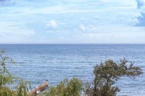 Beautiful sea view from the apartment.