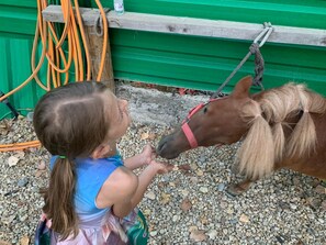 Espace pour enfants