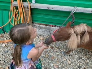 Kinderbereich
