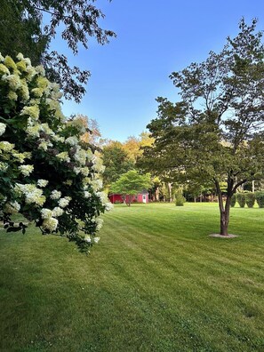 View of the beautiful back yard.