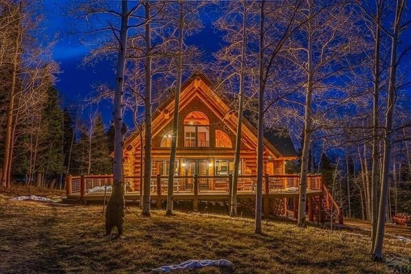 the twilight really brings our home to life