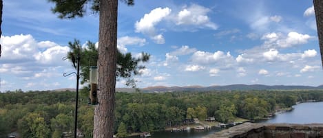 View from back patio