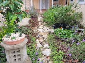 Garden with Pond and Bench