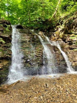 Waterfall taken by our VA guest 