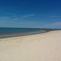 Gorgeous beach for 3 cottages and main house