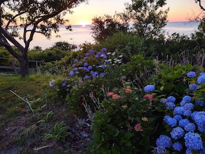 Garden by the beach stairs