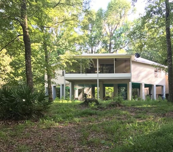 The view of the patio from the wetlands.