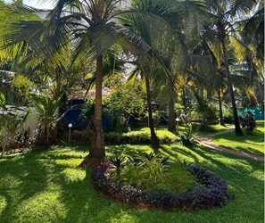 Trädgård