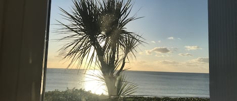 Vue sur la plage ou l’océan