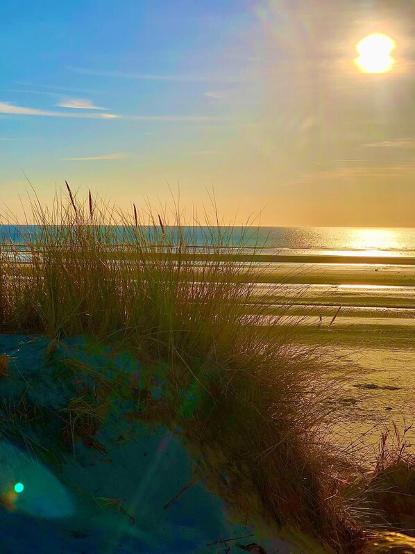 La plage d'Espiguette