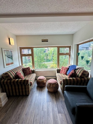 Beautiful sunroom to watch the snow fall or the aspen leaves!