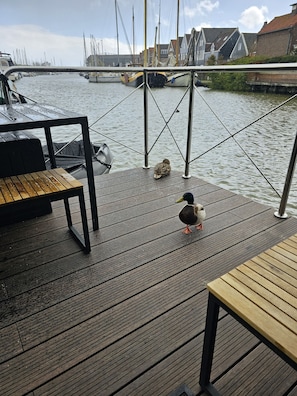Boendeområde