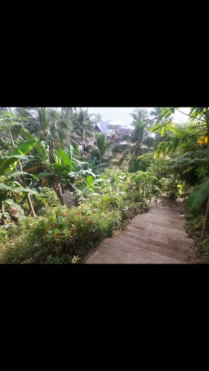 stairs until beach
