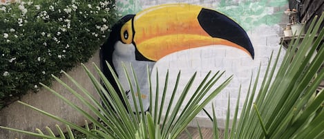 Le toucan