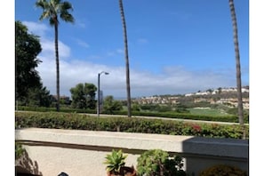 Daytime view from the patio