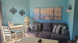 New sofa sleeper for an extra sleeping area.
