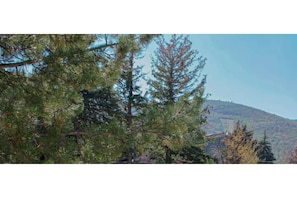 Unclassified image, 5 of 18, button
