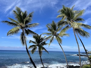 Some photos taken from lanai and shared by a recent guest Terri! Mahalo!