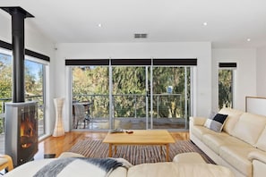 Living room with fireplace
