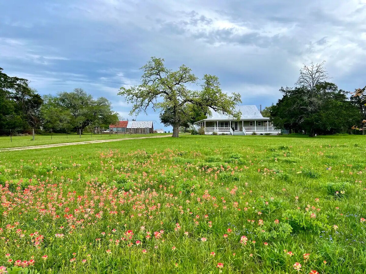 Luxury Round Top Farmhouse / 6mil to The Square